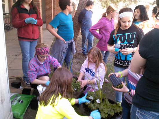 Be Connected &ndash; Planting